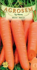Morcovi Danvers 4g - 3600 de Seminte soi semitimpuriu, radacina crocanta, gustoasa, Agrosem